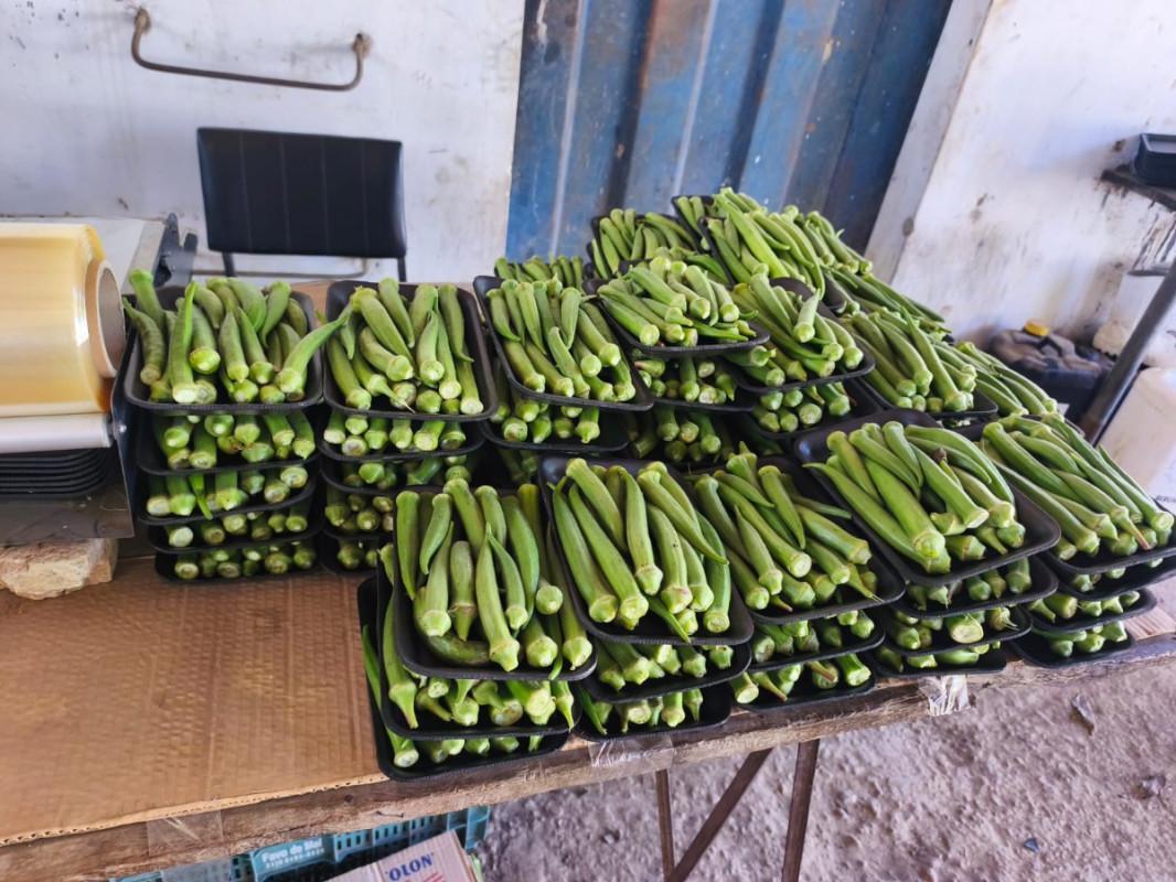 Fazenda, Centro, 0 Quarto, 0 Vaga