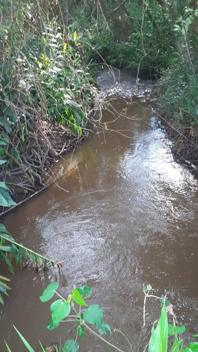 Fazenda, Centro, 1 Quarto, 0 Vaga