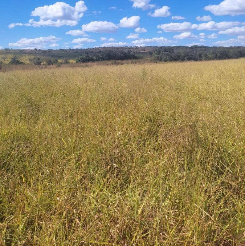 Fazenda, Zona Rural, 0 Quarto, 0 Vaga
