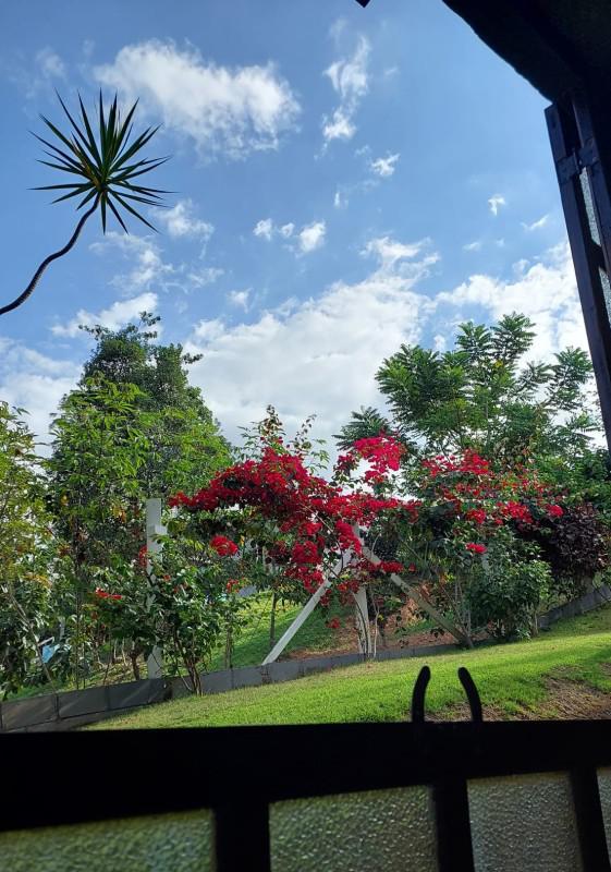 Fazenda, Condomínio Rancho Grande, 3 Quartos, 6 Vagas