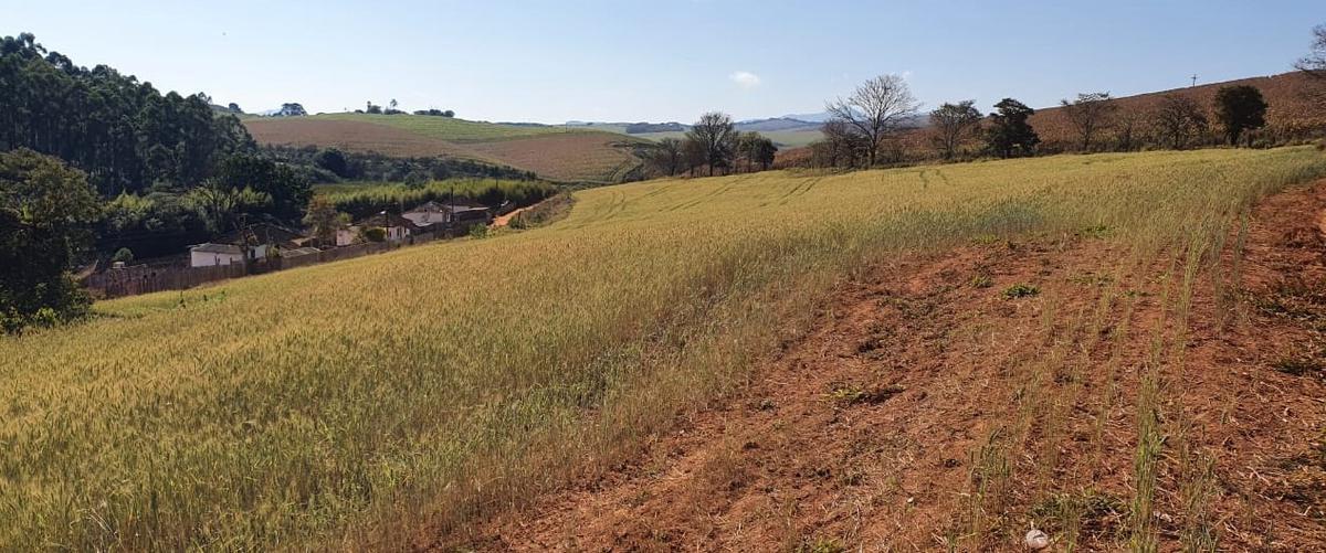 Fazenda, Zona Rural, 6 Quartos, 0 Vaga, 2 Suítes
