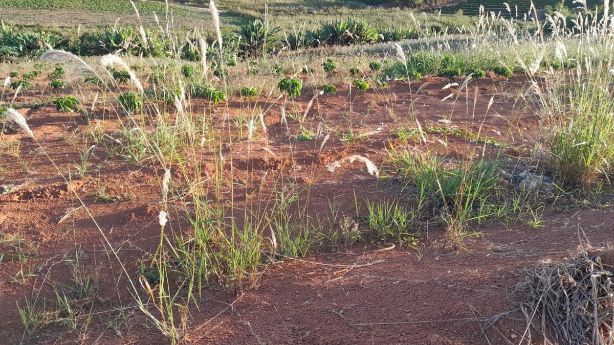 Fazenda, Zona Rural, 0 Quarto, 0 Vaga