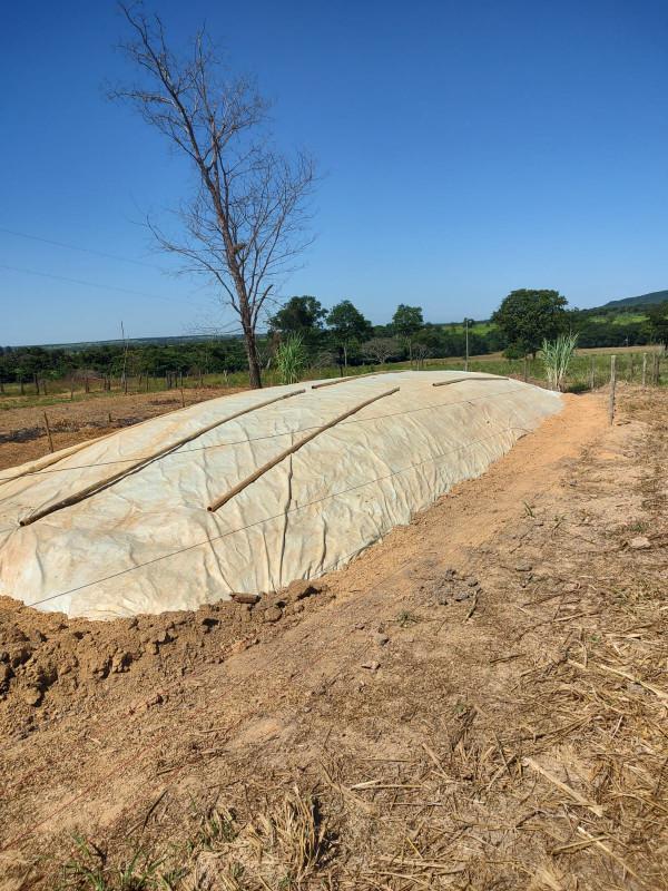 Fazenda, Centro, 0 Quarto, 0 Vaga