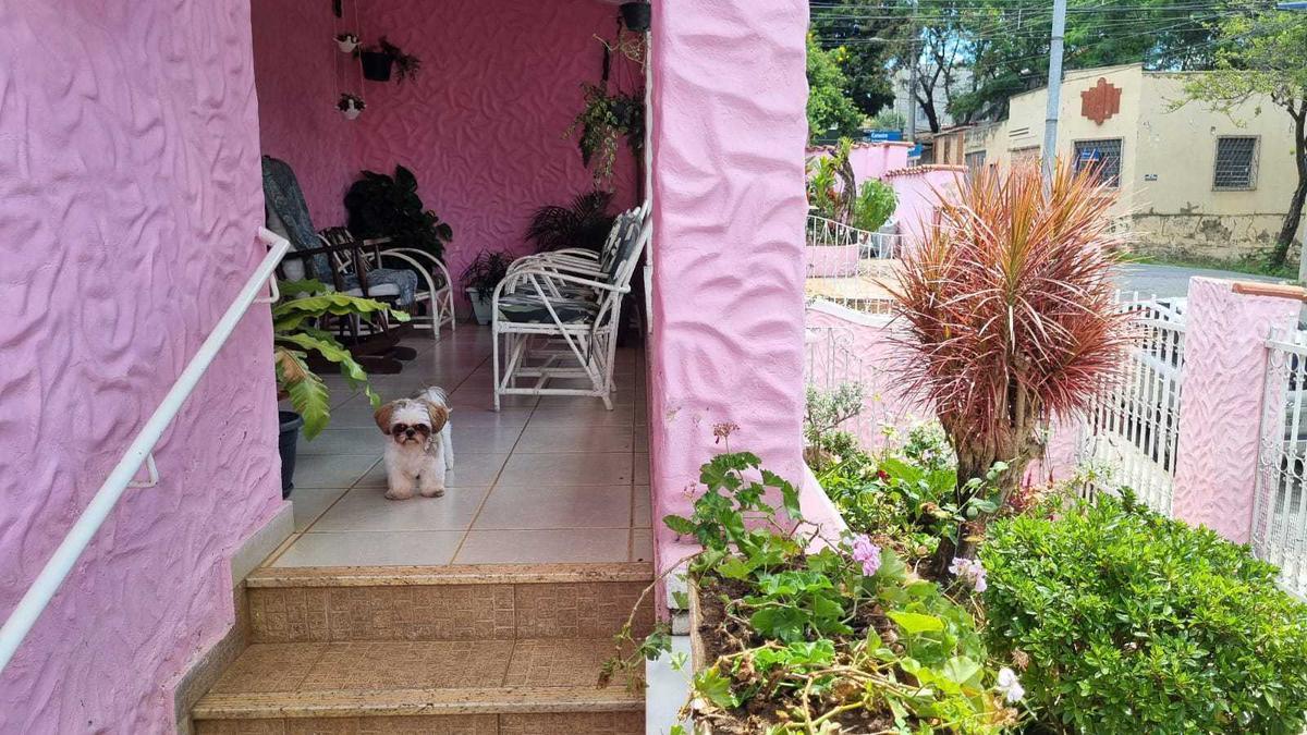 Casa, Sagrada Família, 5 Quartos, 4 Vagas, 3 Suítes