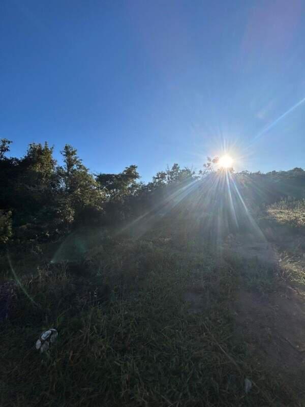 Fazenda, Floresta, 0 Quarto, 0 Vaga