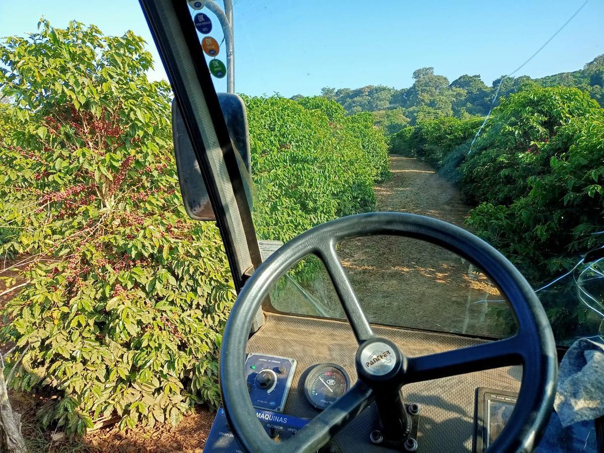 Fazenda, Zona Rural, 0 Quarto, 0 Vaga