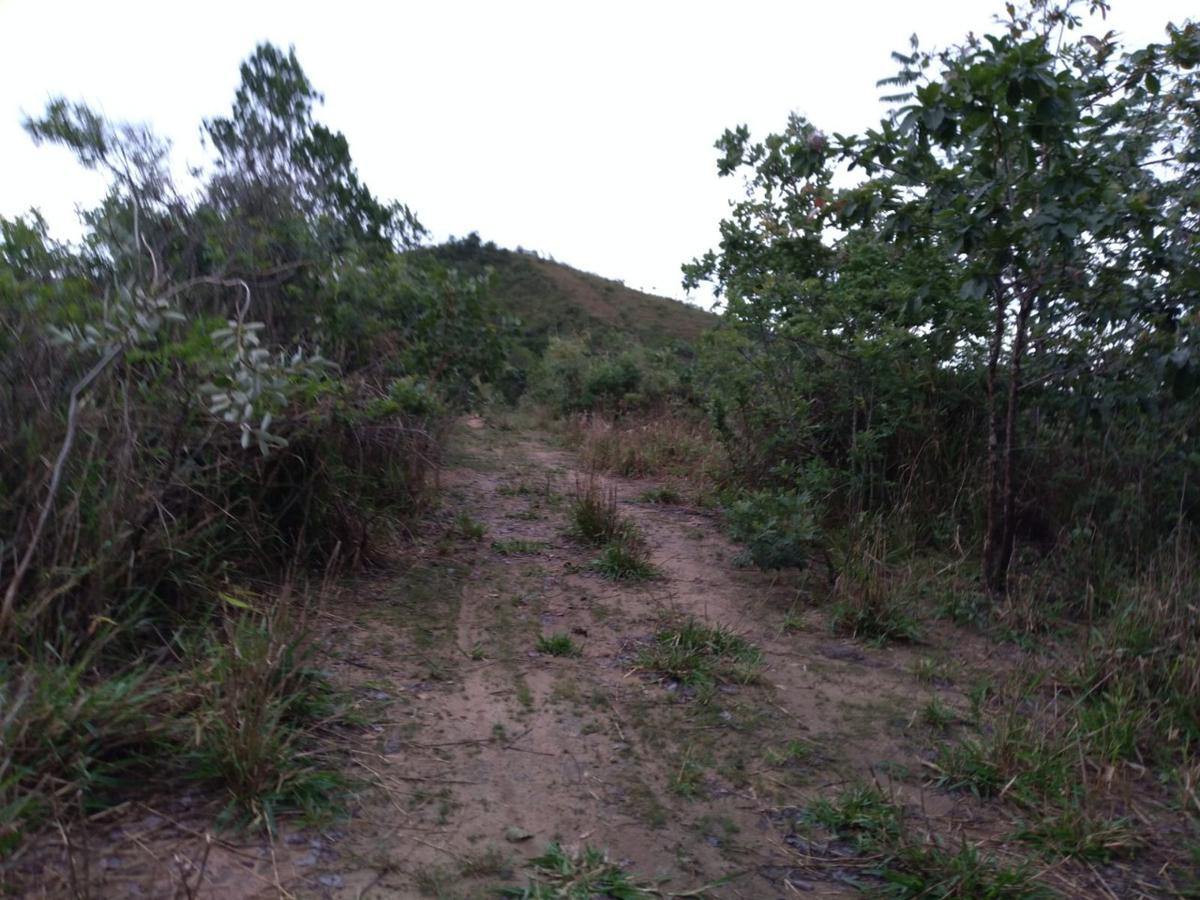 Lote, Zona Rural, 0 Quarto, 0 Vaga