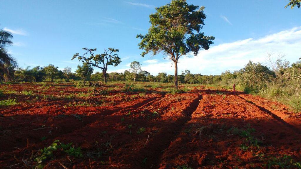 Fazenda, Centro, 0 Quarto, 0 Vaga