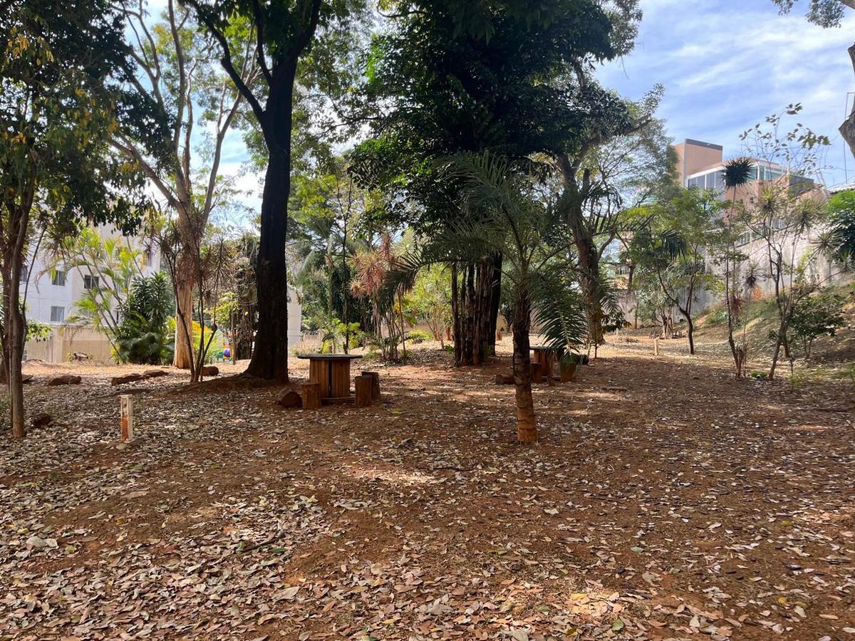 Apartamento, Santa Amélia, 2 Quartos, 1 Vaga