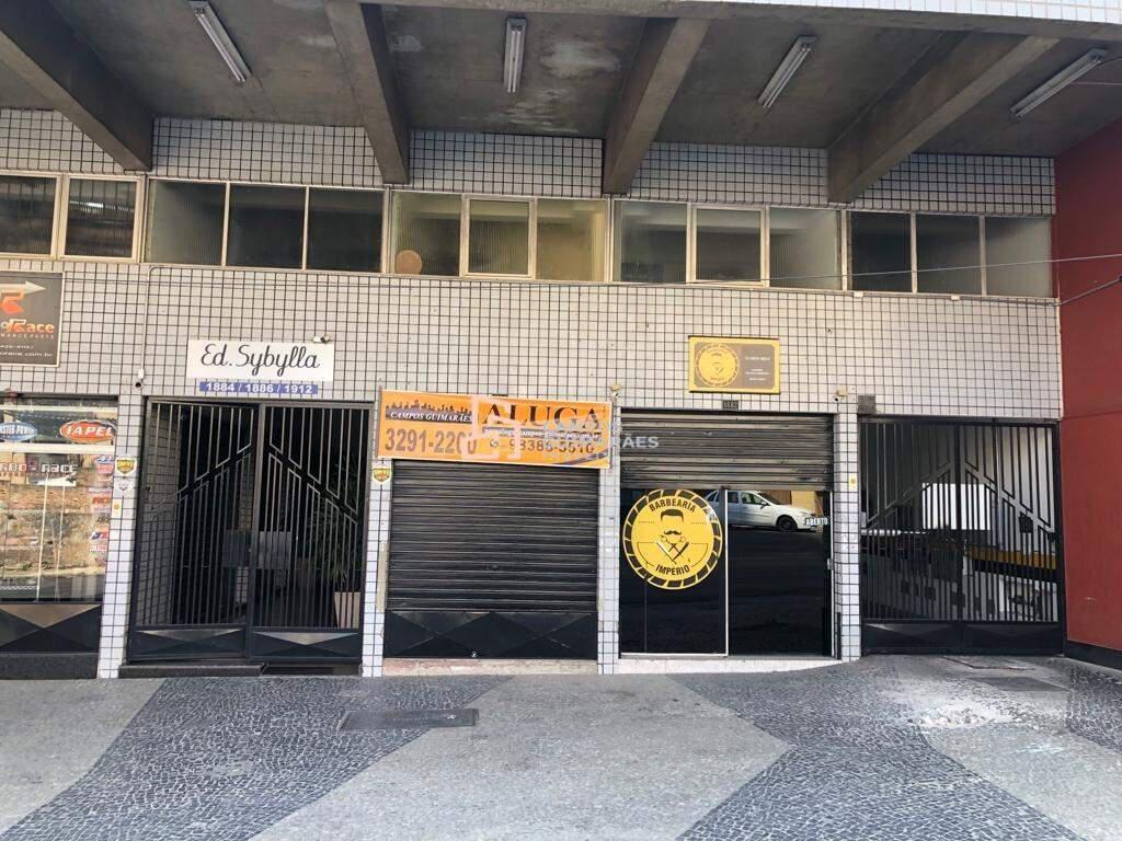 Loja, Floresta