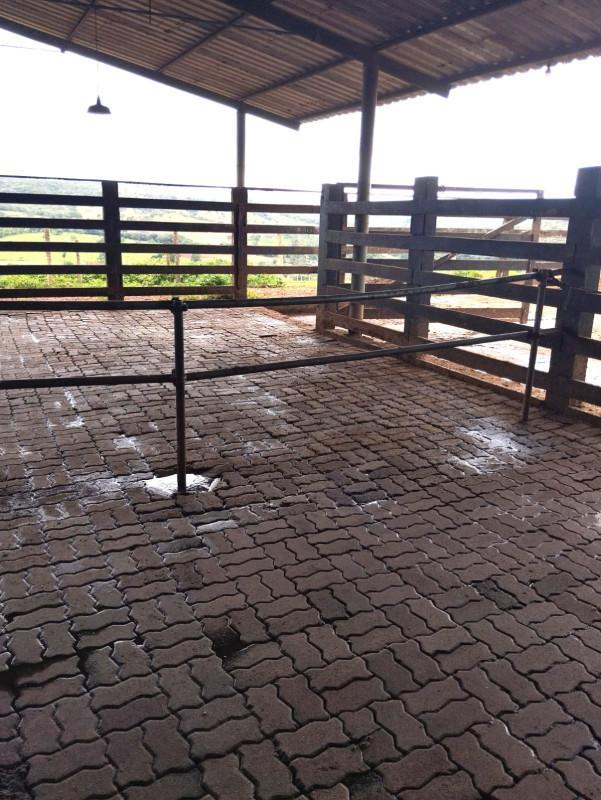 Fazenda, Área Rural de Pará de Minas, 0 Quarto, 0 Vaga