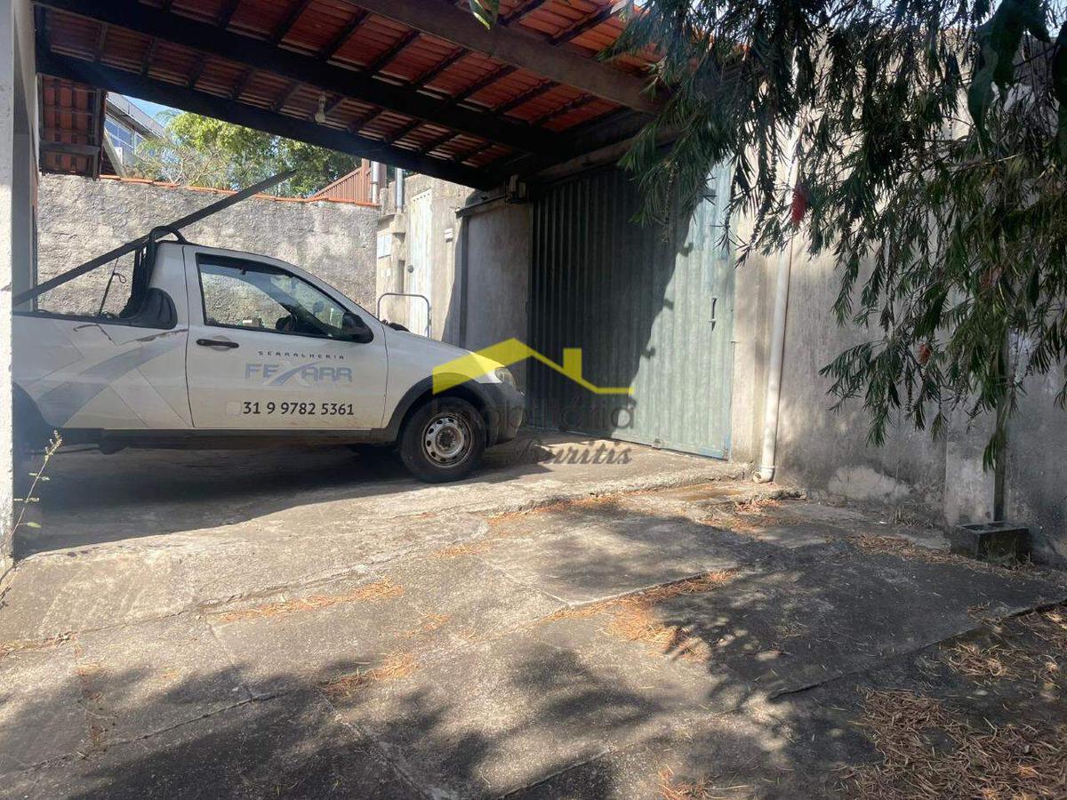 Lote, Palmeiras