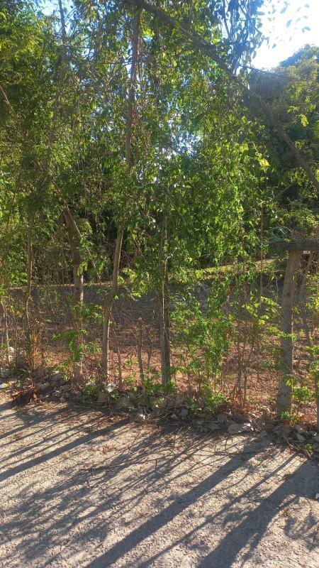 Lote, Bom Retiro, 0 Quarto, 0 Vaga