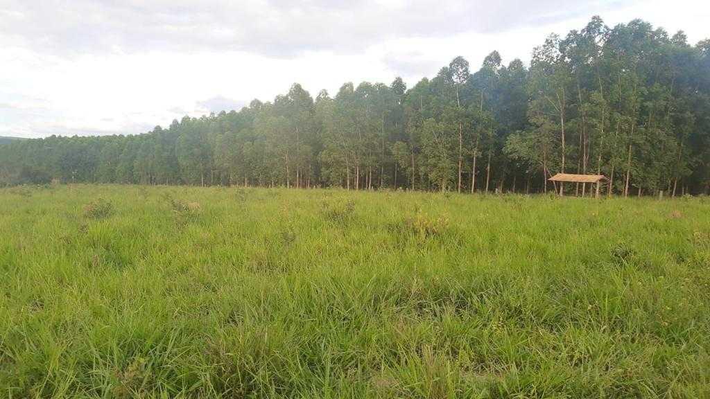 Fazenda, Zona Rural, 3 Quartos, 0 Vaga