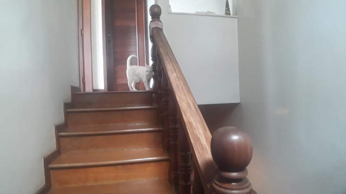 Casa, Álvaro Camargos, 4 Quartos, 4 Vagas, 1 Suíte