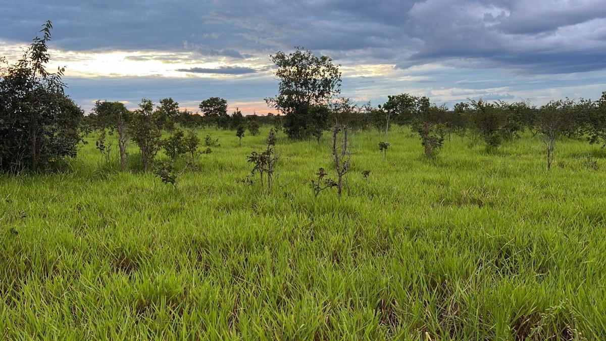 Fazenda, Zona Rural, 0 Quarto, 0 Vaga
