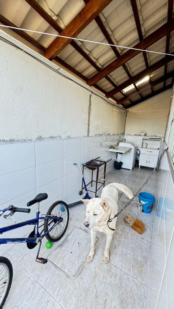 Apartamento, Masterville, 2 Quartos, 1 Vaga