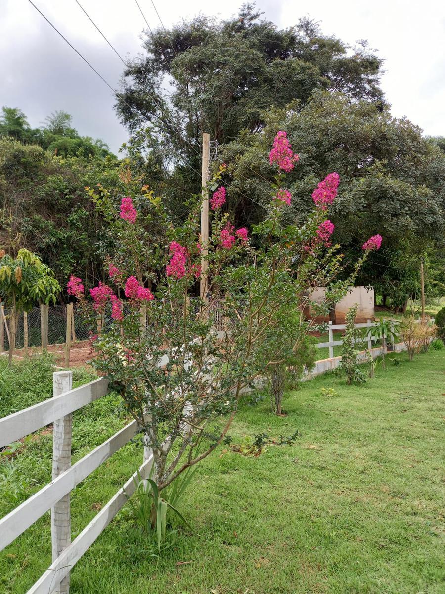 Fazenda, Centro, 1 Quarto, 0 Vaga
