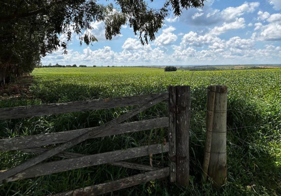 Fazenda, Centro, 0 Quarto, 0 Vaga