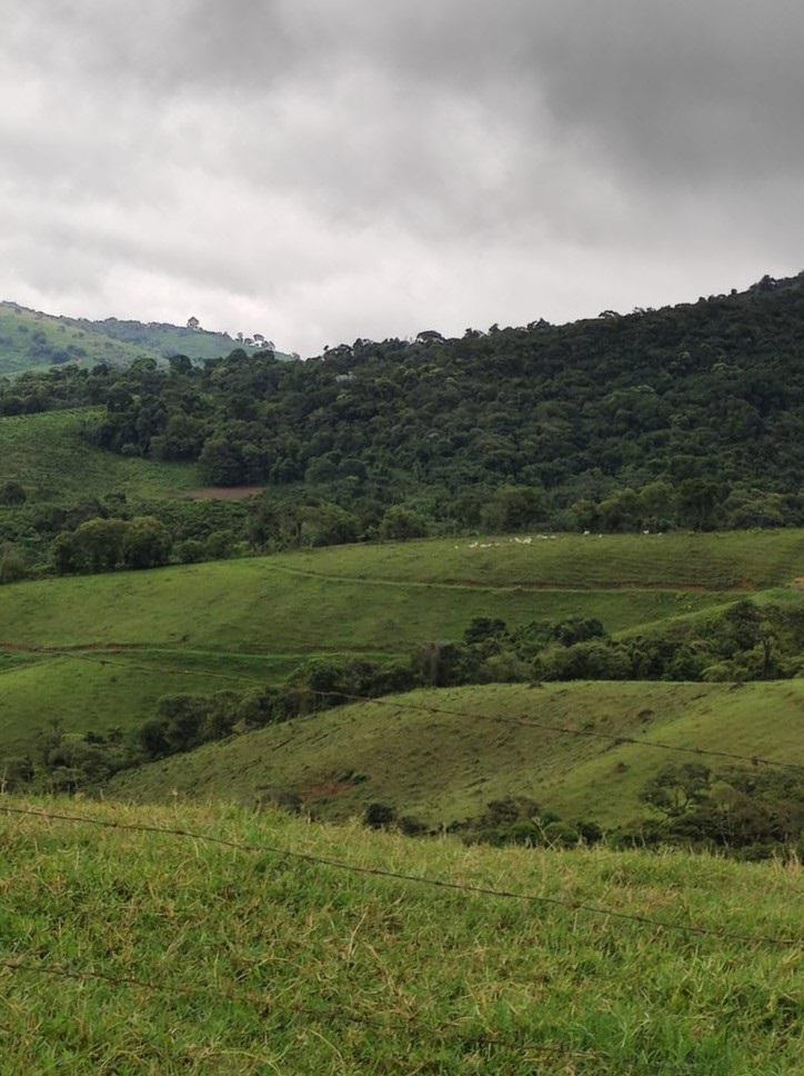 Fazenda, Zona Rural, 3 Quartos, 0 Vaga