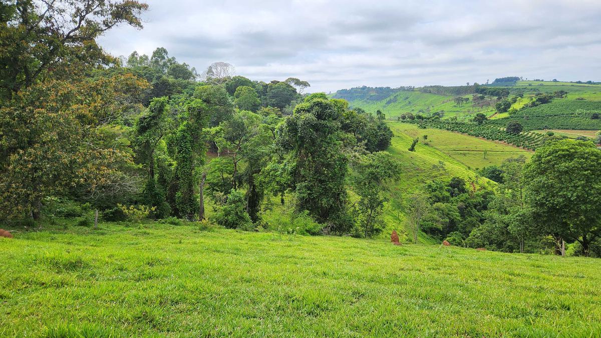 Fazenda, Zona Rural, 1 Quarto, 0 Vaga