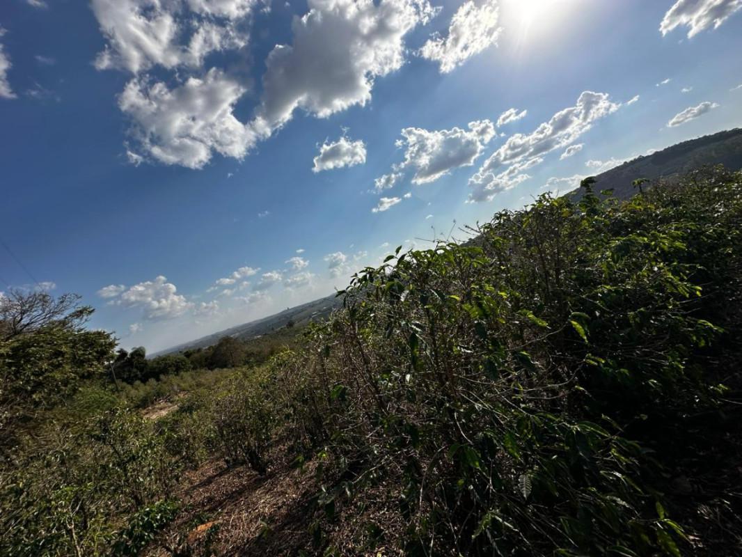 Fazenda, Centro, 0 Quarto, 0 Vaga