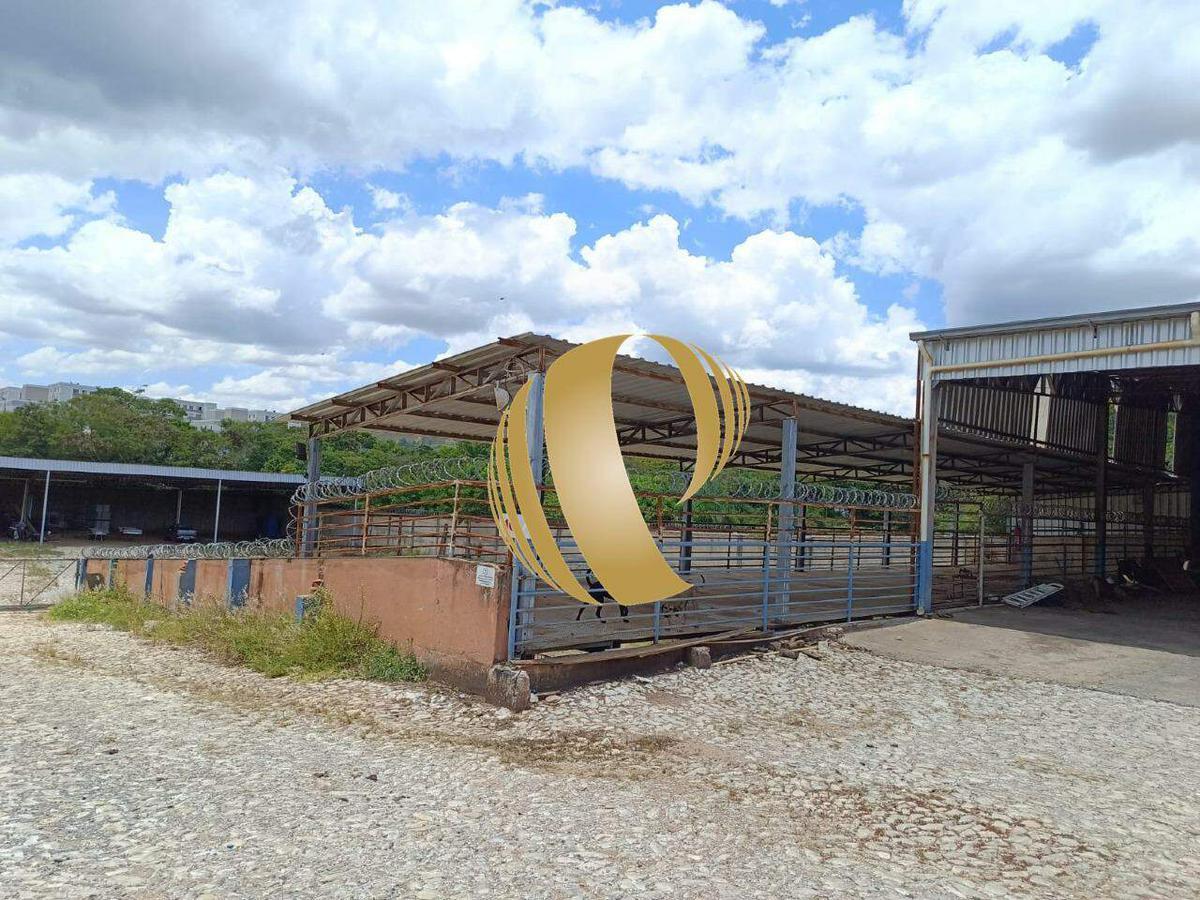 Galpão, Esperança, 0 Quarto, 100 Vagas