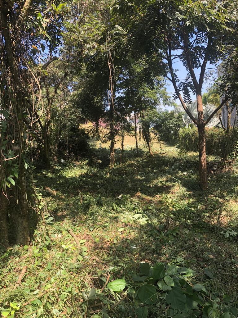 Lote em Condomínio, Mirante da Mata