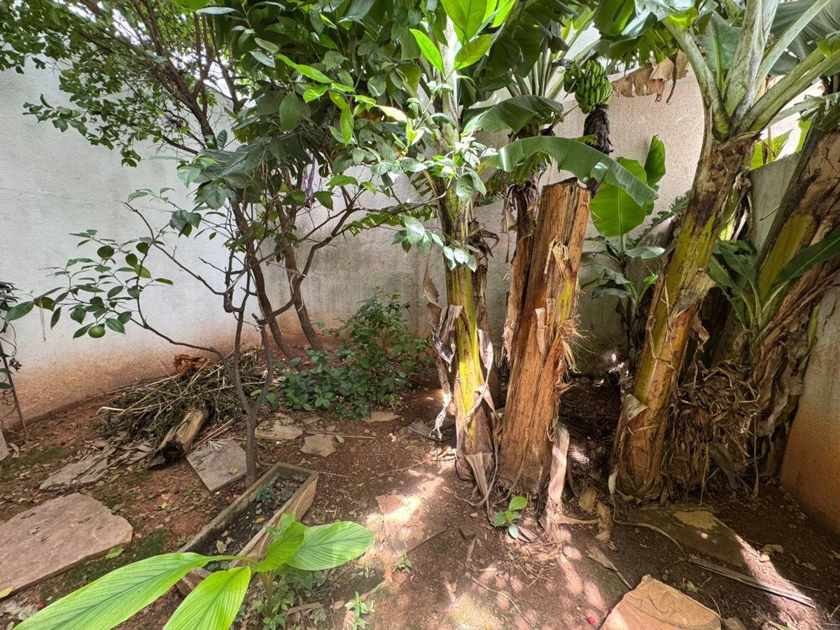 Apartamento, Sagrada Família, 1 Quarto, 1 Vaga