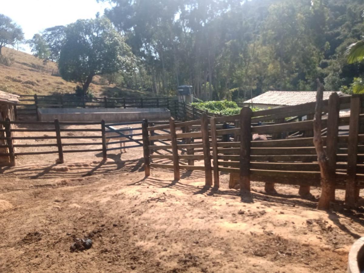 Fazenda, Centro, 3 Quartos, 0 Vaga, 2 Suítes