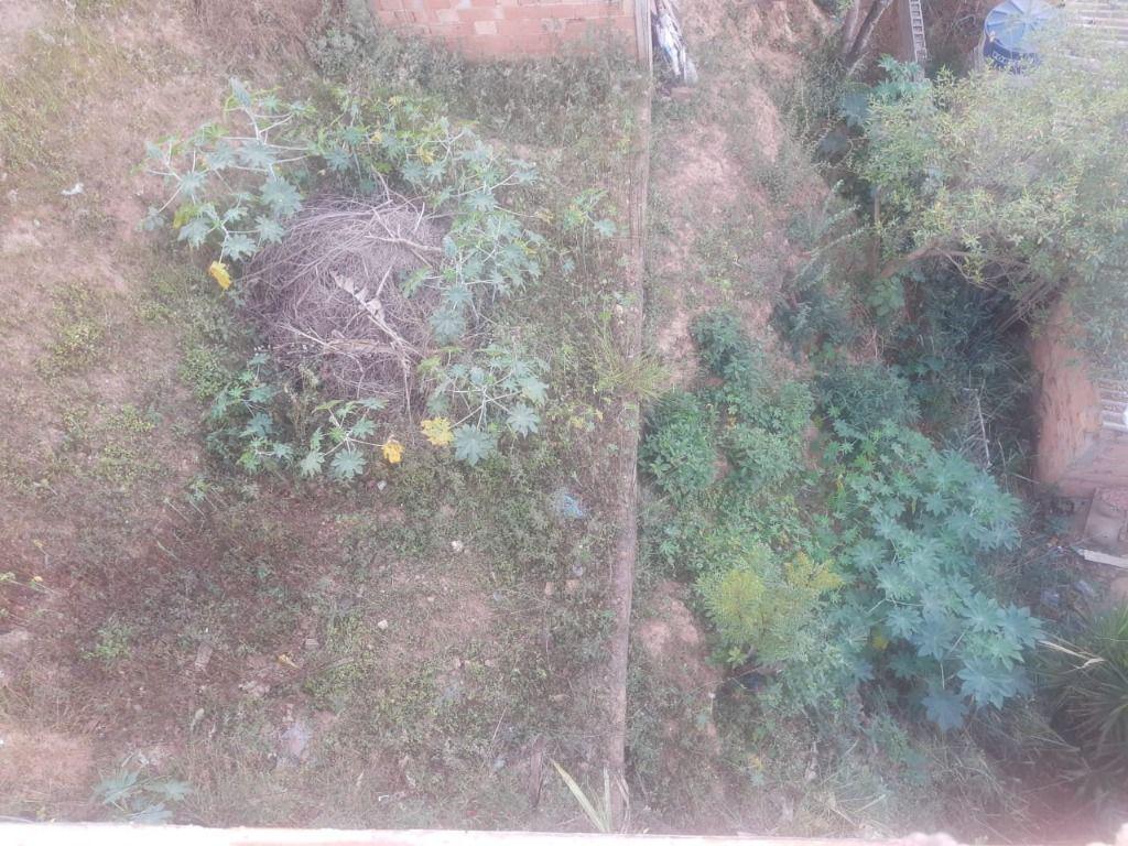 Lote, Córrego da Ilha, 0 Quarto, 0 Vaga