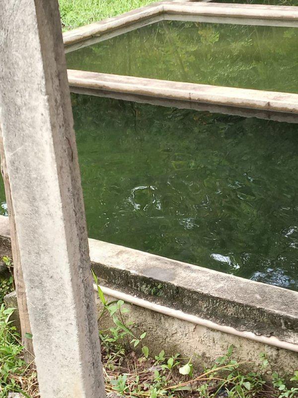 Fazenda, Jardim Rosario, 4 Quartos, 20 Vagas, 1 Suíte