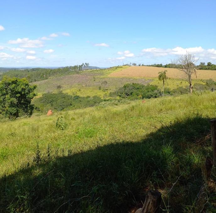 Fazenda, Centro, 3 Quartos, 0 Vaga