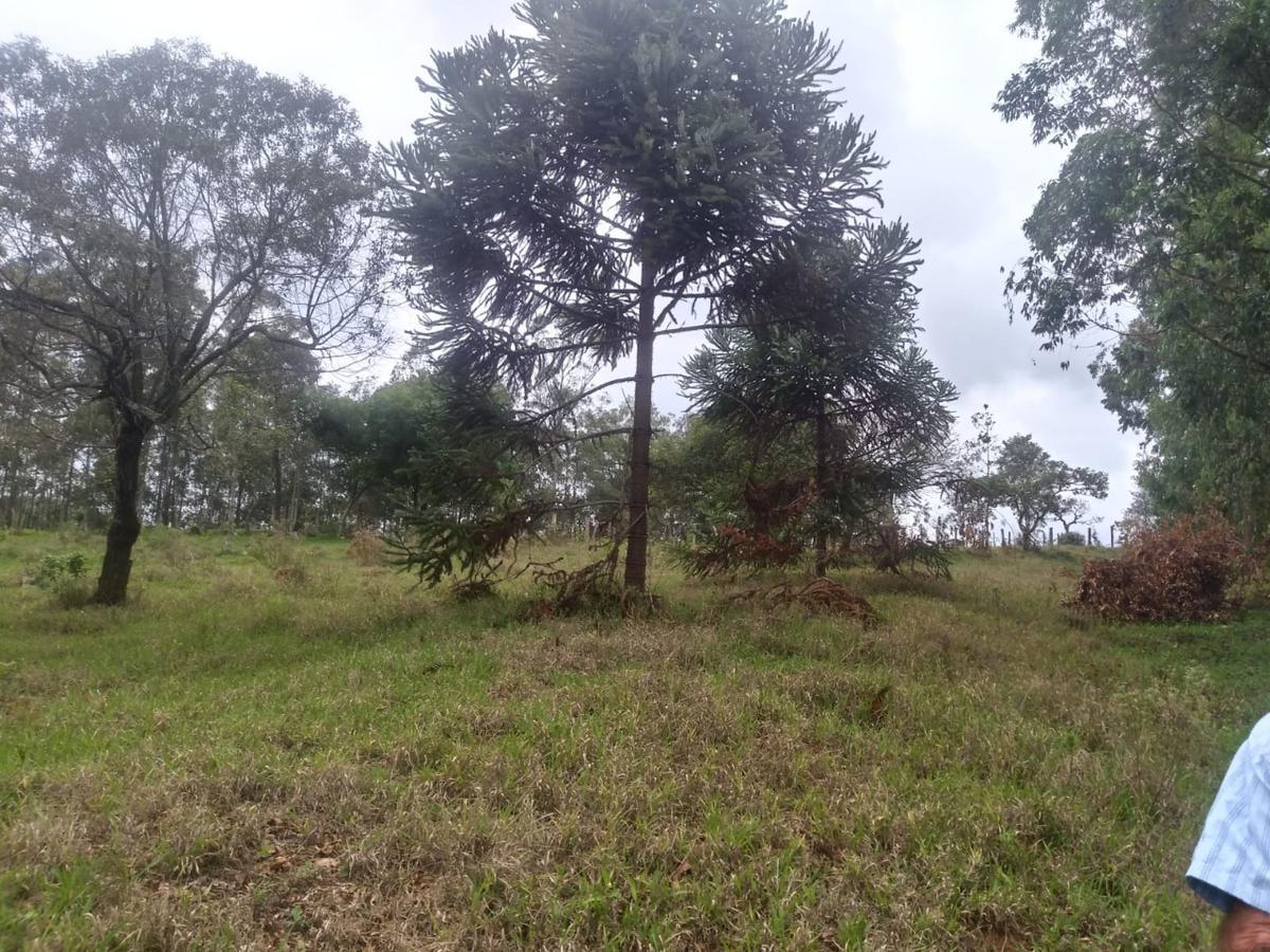 Fazenda, Zona Rural, 3 Quartos, 0 Vaga