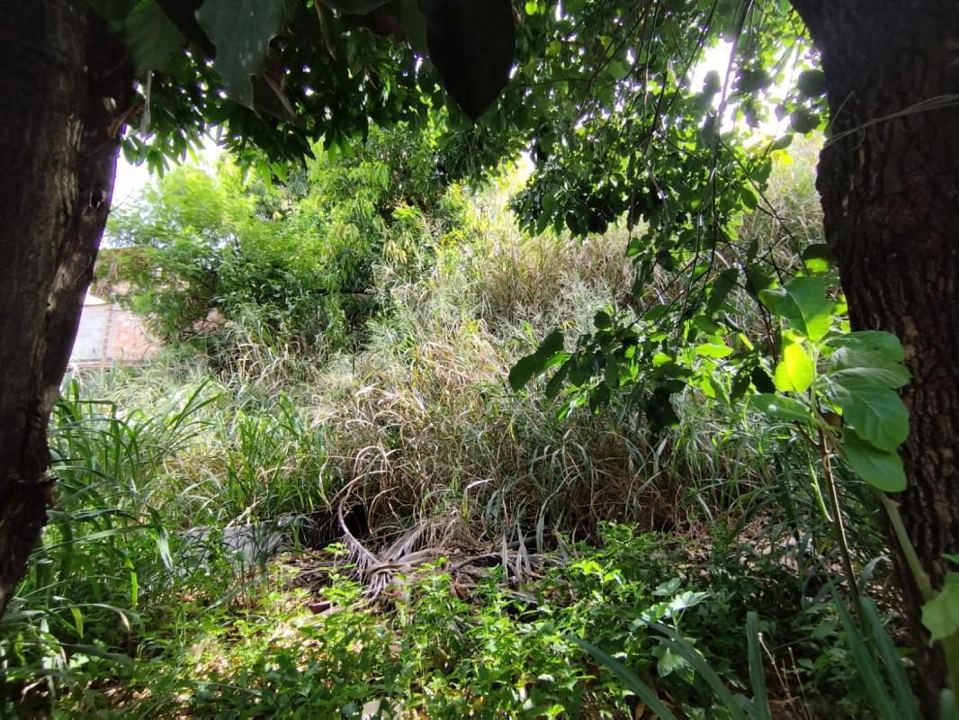 Casa, Senhora de Fátima, 2 Quartos, 2 Vagas