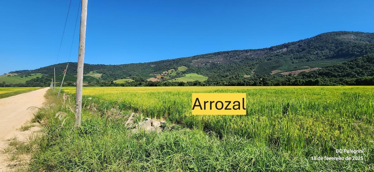 Fazenda, Zona Rural, 1 Quarto, 1 Vaga, 1 Suíte