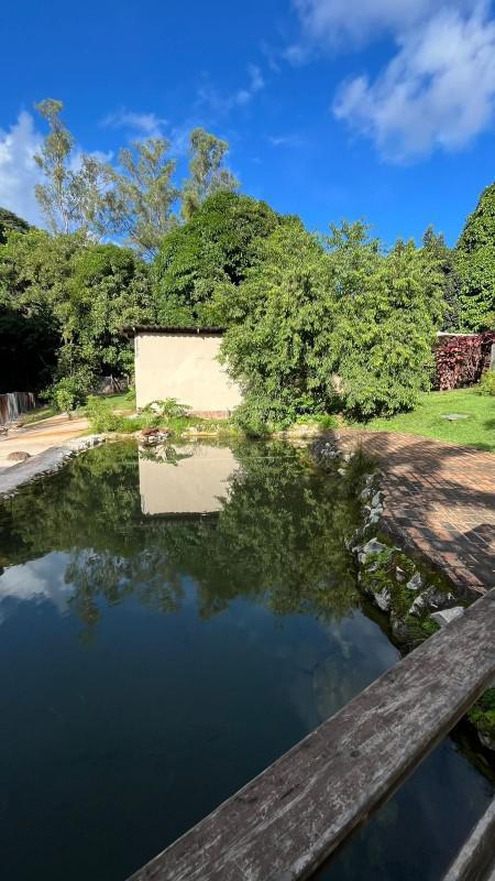 Fazenda, Nossa Senhora de Fátima, 3 Quartos, 5 Vagas, 2 Suítes