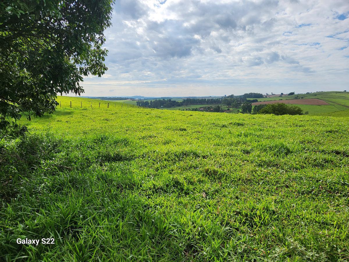 Fazenda, Centro, 2 Quartos, 0 Vaga