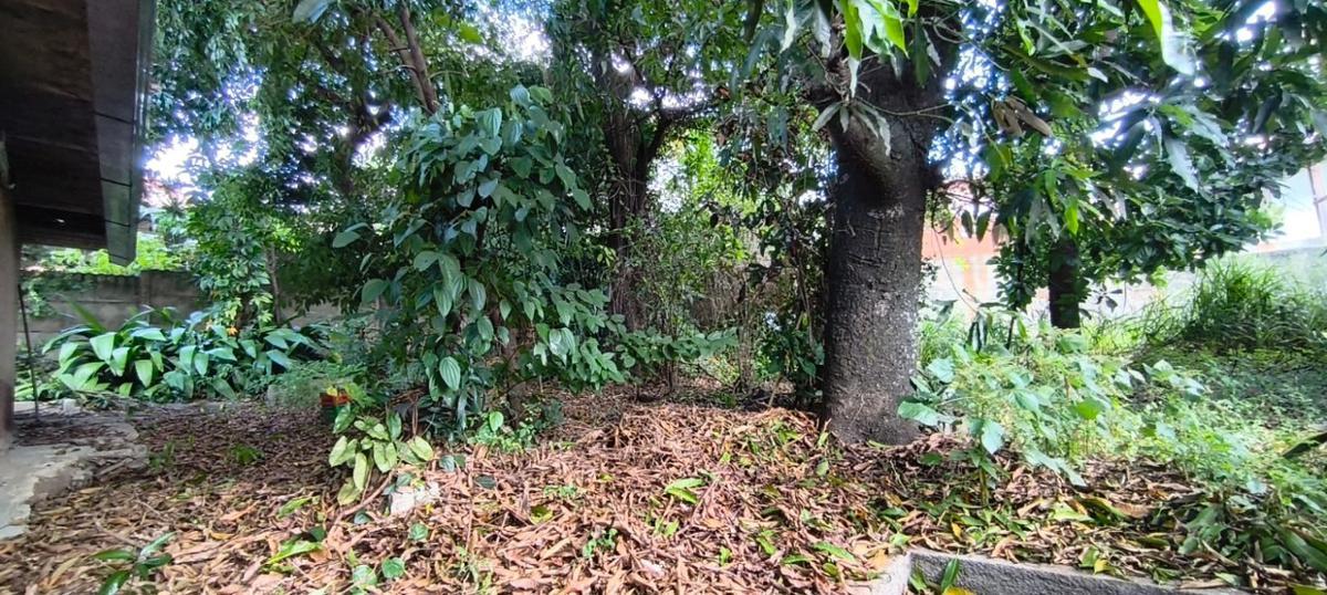 Lote, Santa Cruz, 0 Quarto, 0 Vaga