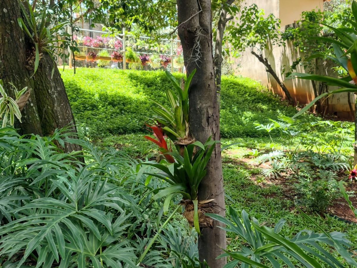 Lote, Enseada das Garças