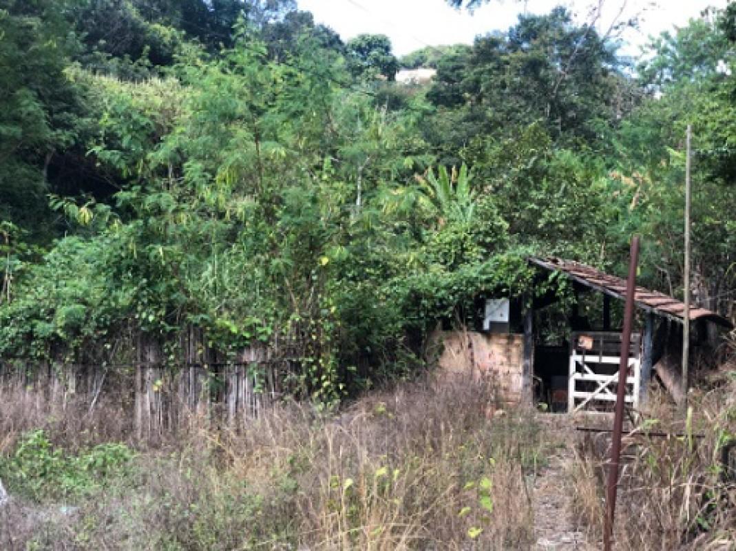 Lote, Borges, 3 Quartos, 20 Vagas