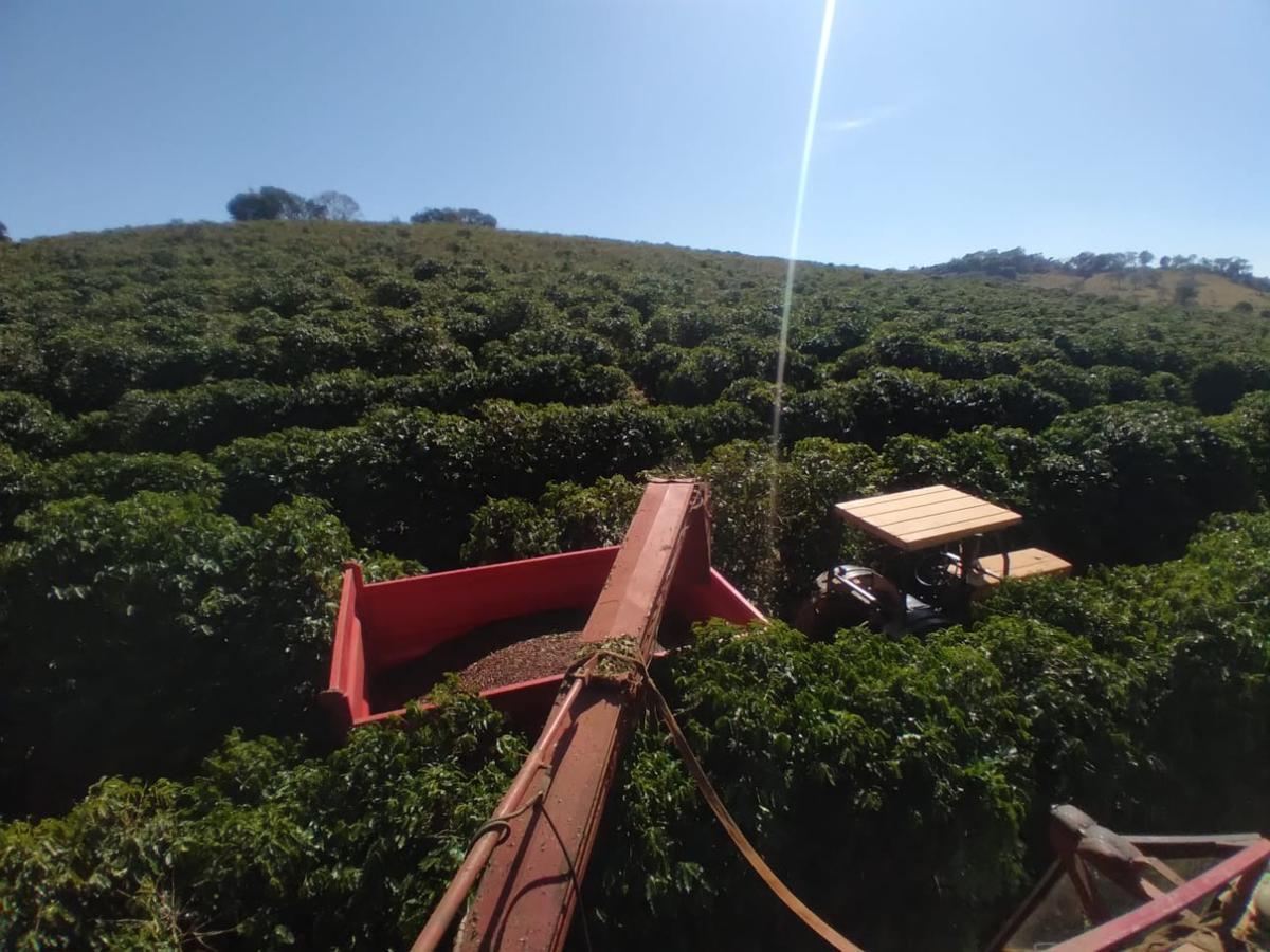 Fazenda, Zona Rural, 0 Quarto, 0 Vaga