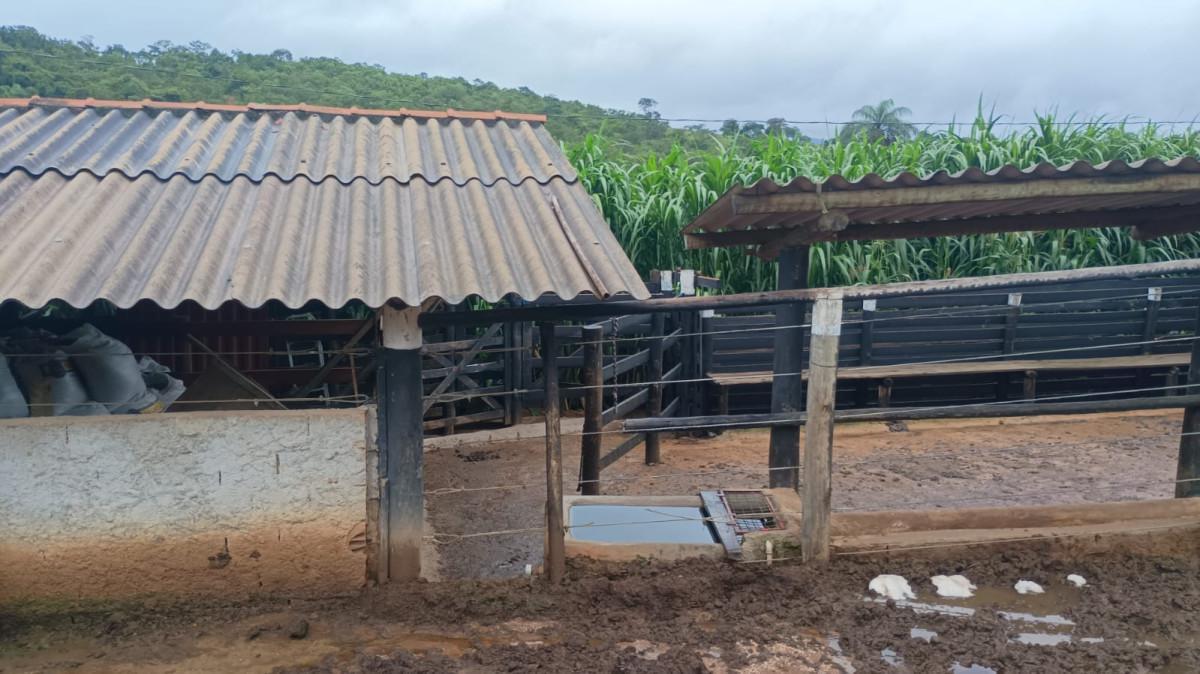 Fazenda, Centro, 3 Quartos, 100 Vagas