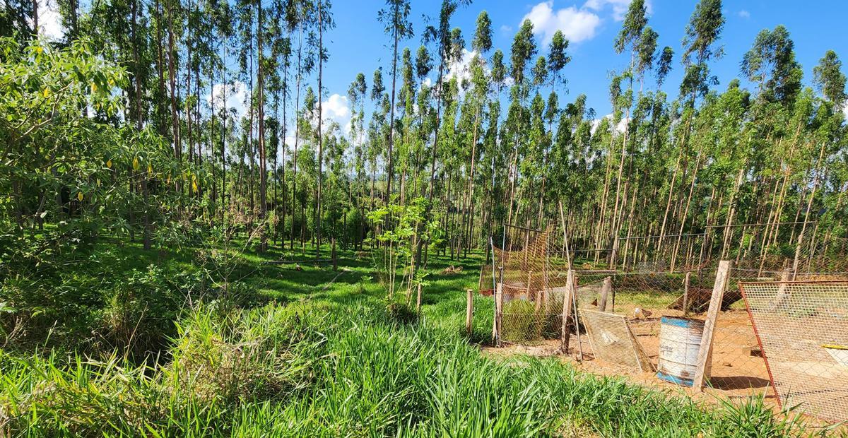 Fazenda, Zona Rural, 3 Quartos, 2 Vagas, 1 Suíte