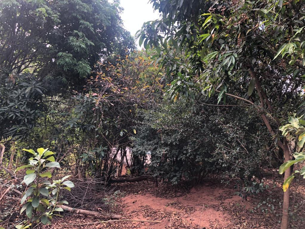 Lote, Rosário, 0 Quarto, 0 Vaga