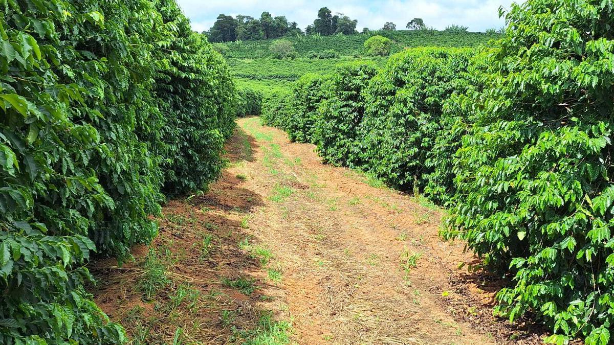 Fazenda, Zona Rural, 3 Quartos, 0 Vaga