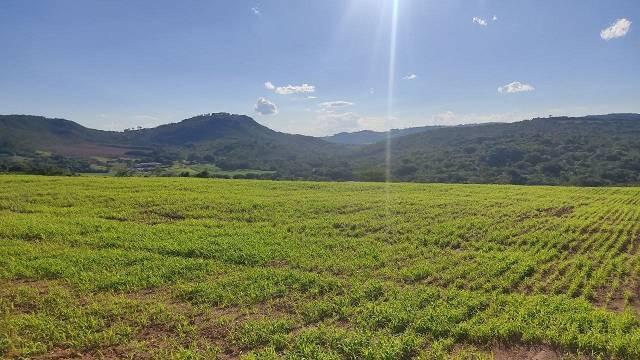 Fazenda, Centro, 5 Quartos, 2 Vagas