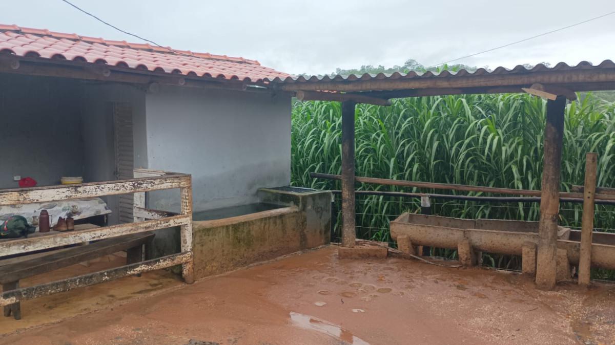 Fazenda, Centro, 3 Quartos, 100 Vagas