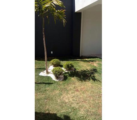 Cobertura, Santa Amélia, 3 Quartos, 2 Vagas, 1 Suíte