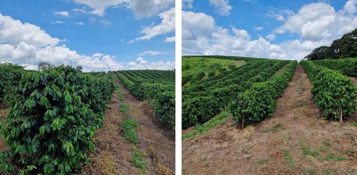 Fazenda, Zona Rural, 2 Quartos, 0 Vaga
